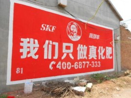 华坪刷墙广告”蕴含了时代命题