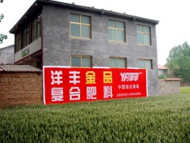 华坪如何让墙体广告展现最大化效果